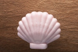 Pink Shell Lampwork Focal Bead